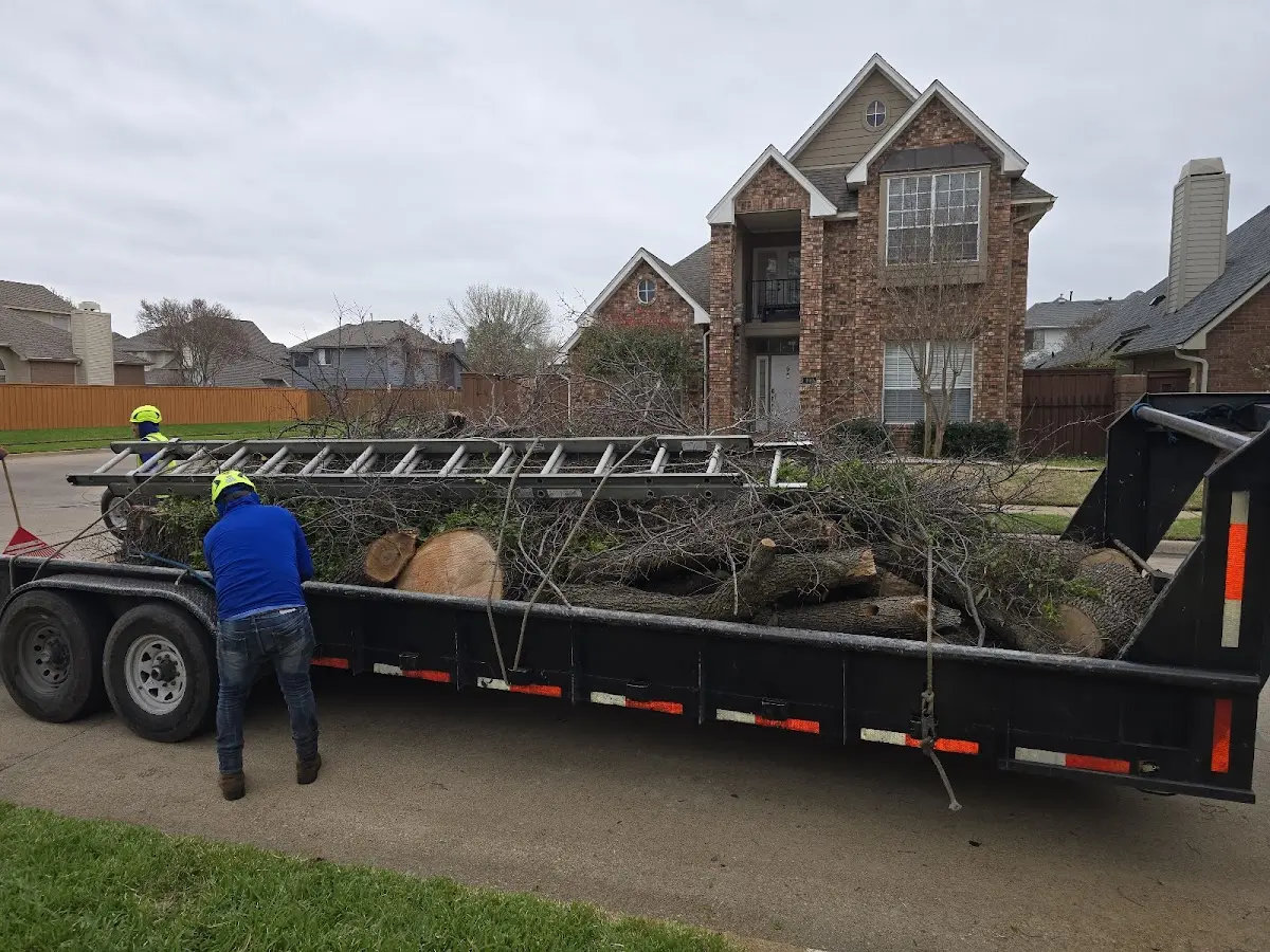 Expert Lot Clearing with proper safety equipment in Somerton